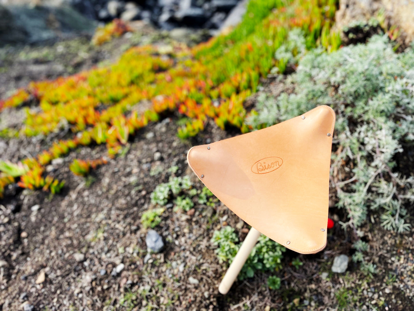 Bison Tripod Stool with Italian Vegetable Leather and Beech Wood